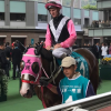【安田記念2017】香港馬で買うならビューティーオンリー？！